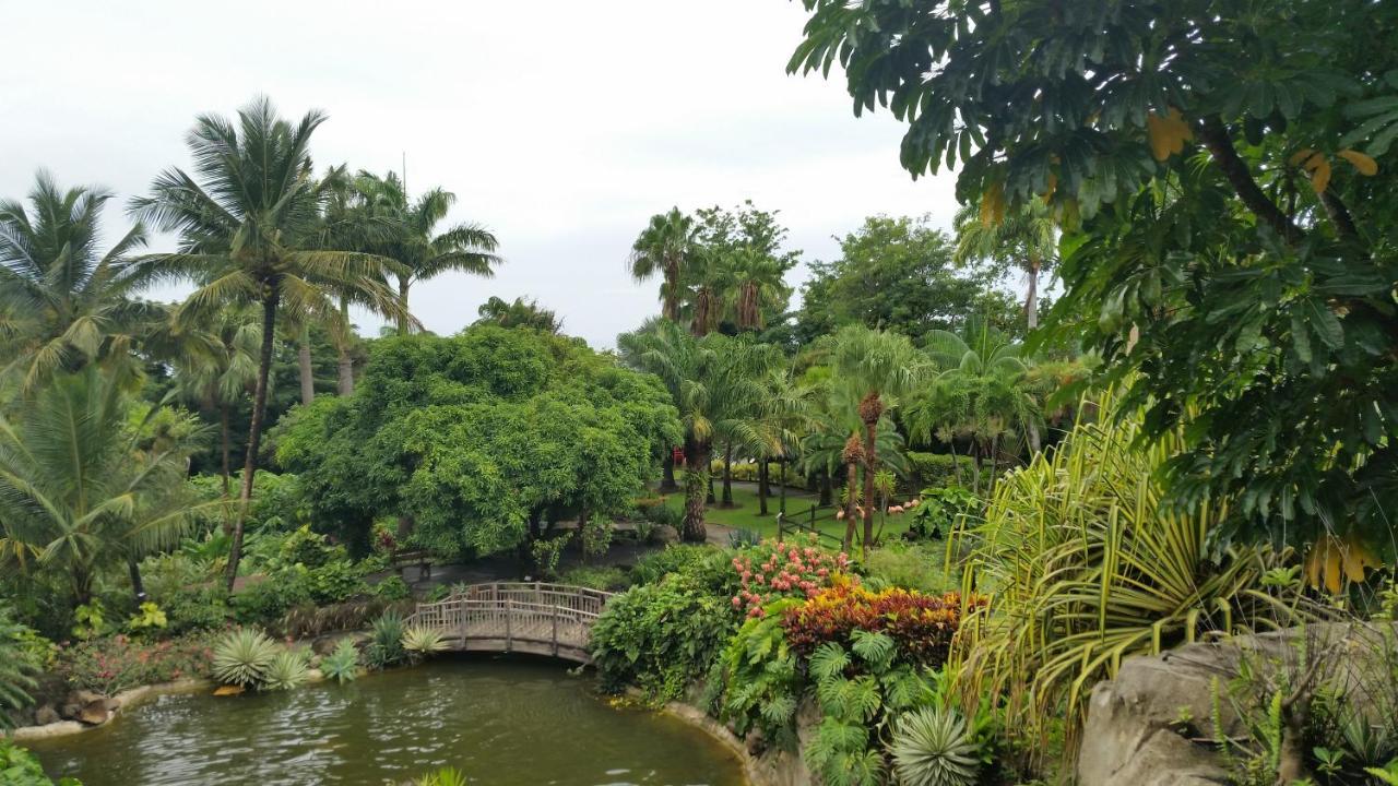 Villa Du Jardin Botanique, Ex. Propriete Coluche Деше Экстерьер фото