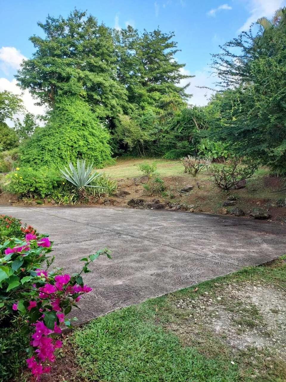 Villa Du Jardin Botanique, Ex. Propriete Coluche Деше Экстерьер фото